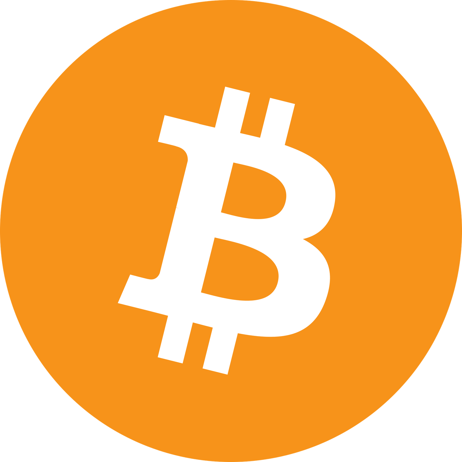 Bitcoin payments accepted